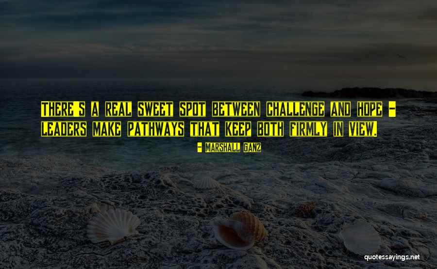Marshall Ganz Quotes 1827493 Marshall Ganz Quotes 1827493
