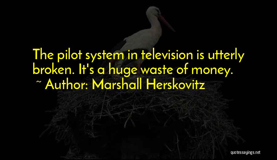 Marshall Herskovitz Quotes 1172649