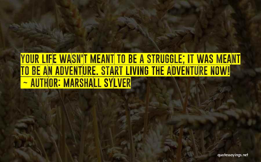 Marshall Sylver Quotes 577463