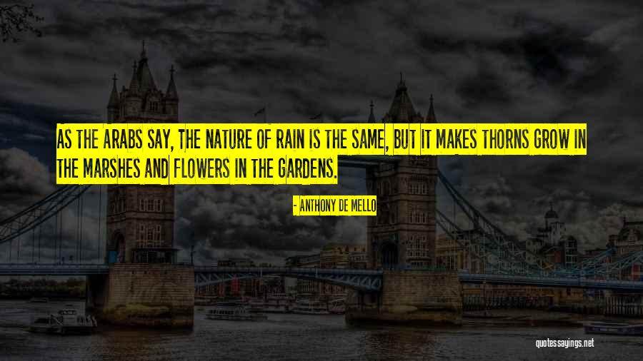 Marshes Quotes By Anthony De Mello Marshes Quotes By Anthony De Mello