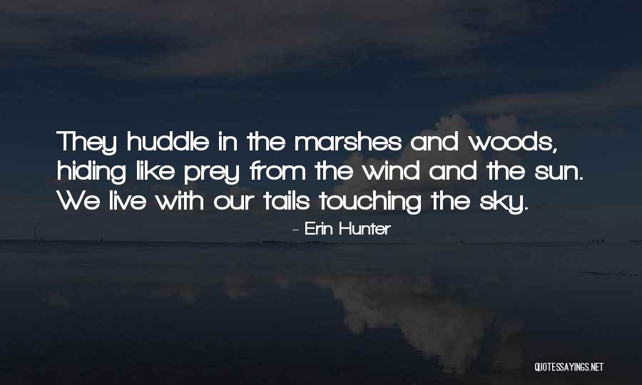 Marshes Quotes By Erin Hunter Marshes Quotes By Erin Hunter