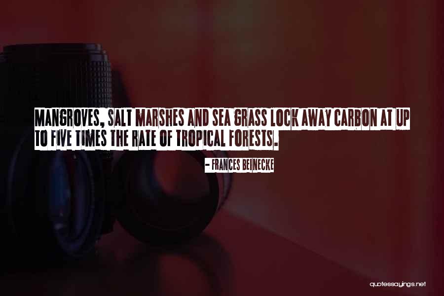 Marshes Quotes By Frances Beinecke Marshes Quotes By Frances Beinecke