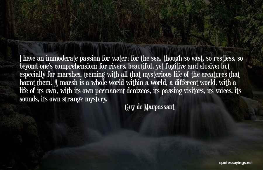 Marshes Quotes By Guy De Maupassant Marshes Quotes By Guy De Maupassant