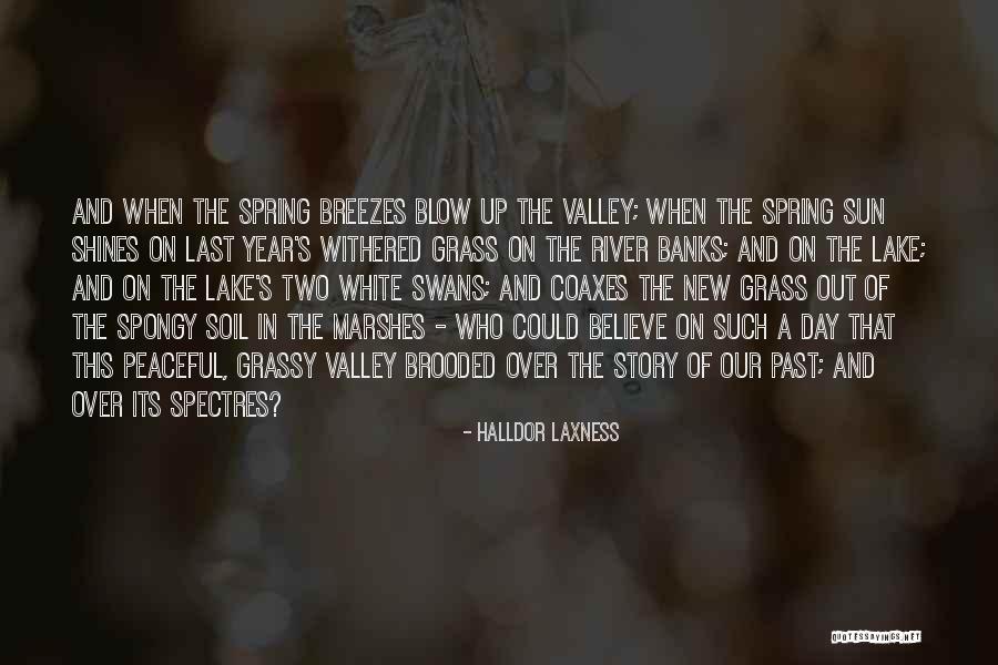 Marshes Quotes By Halldor Laxness Marshes Quotes By Halldor Laxness