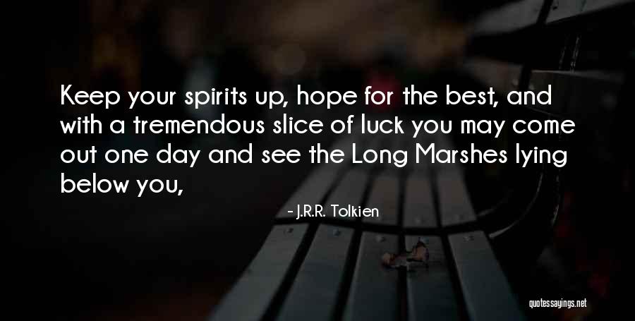 Marshes Quotes By J.R.R. Tolkien Marshes Quotes By J.R.R. Tolkien