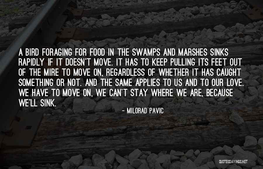 Marshes Quotes By Milorad Pavic Marshes Quotes By Milorad Pavic