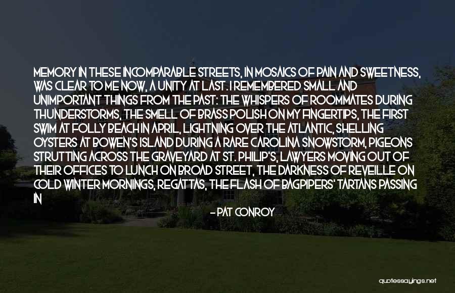 Marshes Quotes By Pat Conroy Marshes Quotes By Pat Conroy
