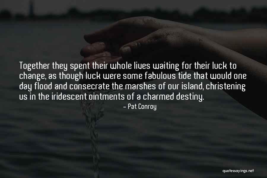 Marshes Quotes By Pat Conroy Marshes Quotes By Pat Conroy