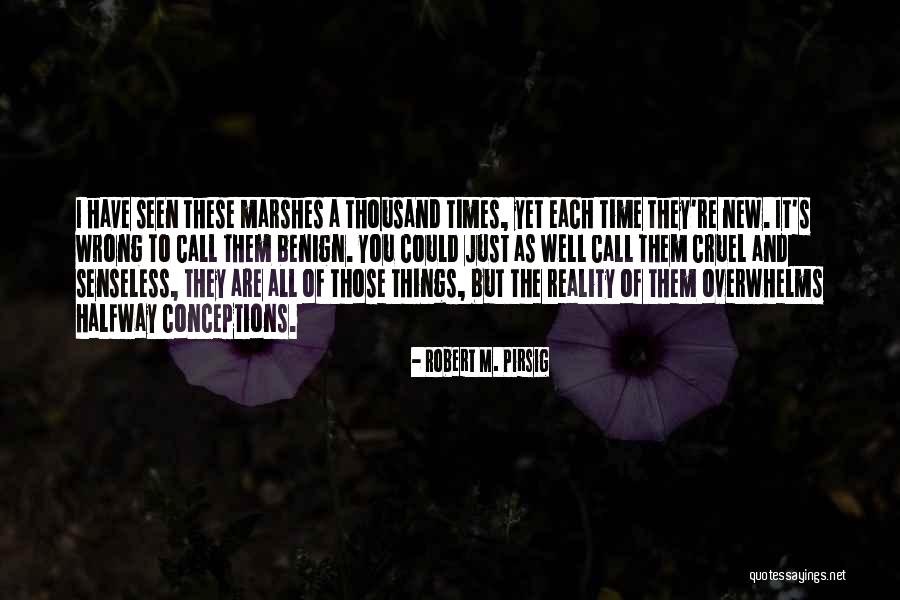 Marshes Quotes By Robert M. Pirsig Marshes Quotes By Robert M. Pirsig
