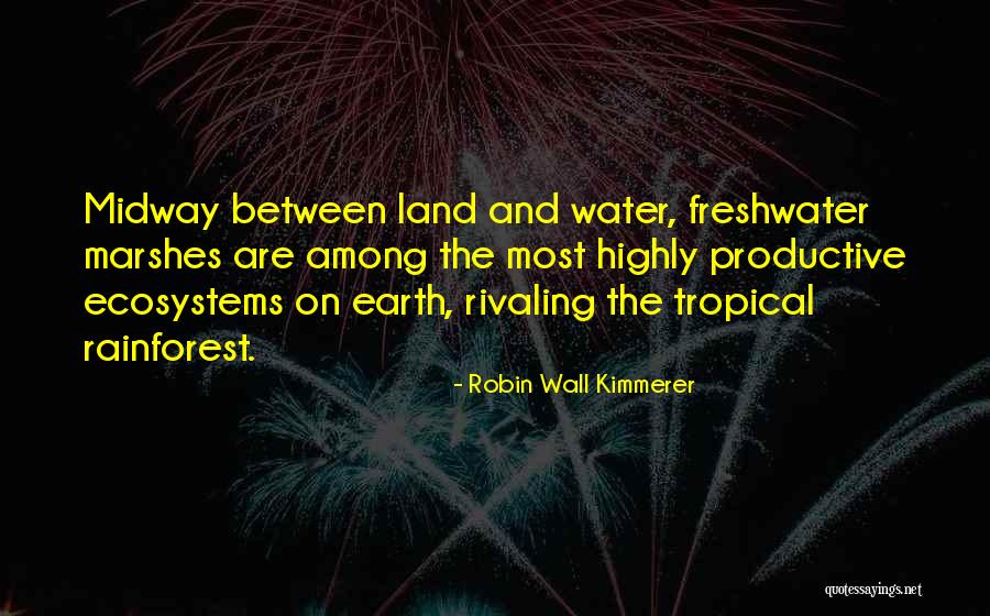 Marshes Quotes By Robin Wall Kimmerer Marshes Quotes By Robin Wall Kimmerer
