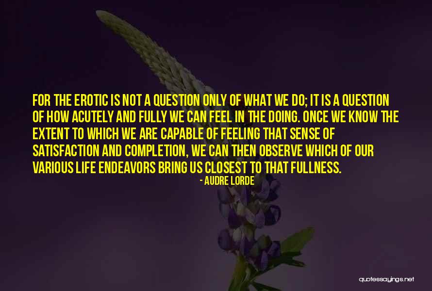 Marsilli North Quotes By Audre Lorde Marsilli North Quotes By Audre Lorde