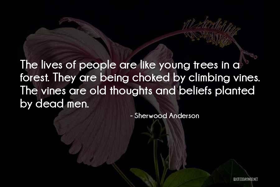 Marsolais Enterprises Quotes By Sherwood Anderson Marsolais Enterprises Quotes By Sherwood Anderson