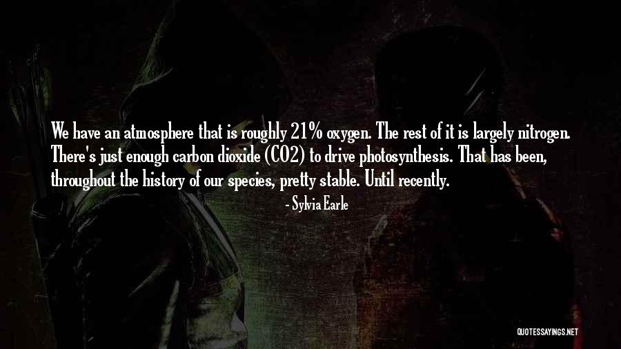 Marsupio Gucci Quotes By Sylvia Earle Marsupio Gucci Quotes By Sylvia Earle