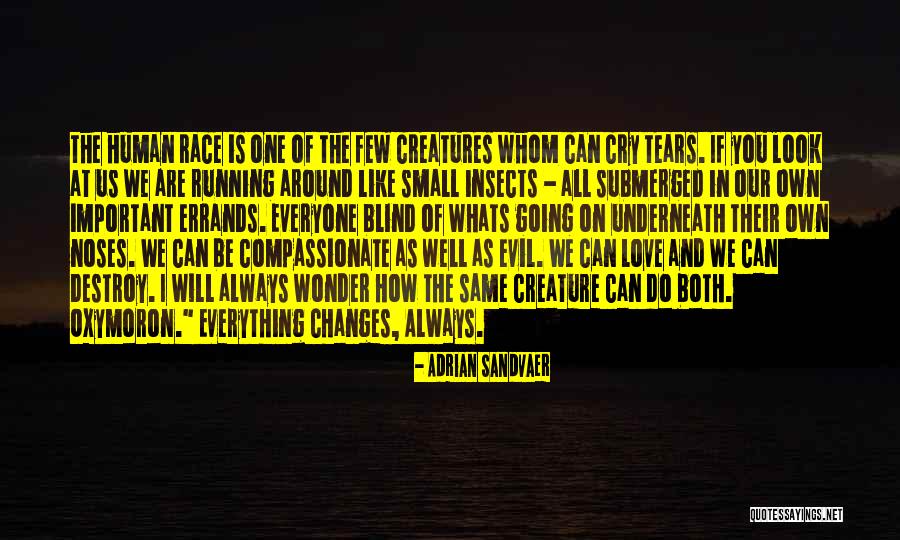 Martagon Lily Care Quotes By Adrian Sandvaer Martagon Lily Care Quotes By Adrian Sandvaer
