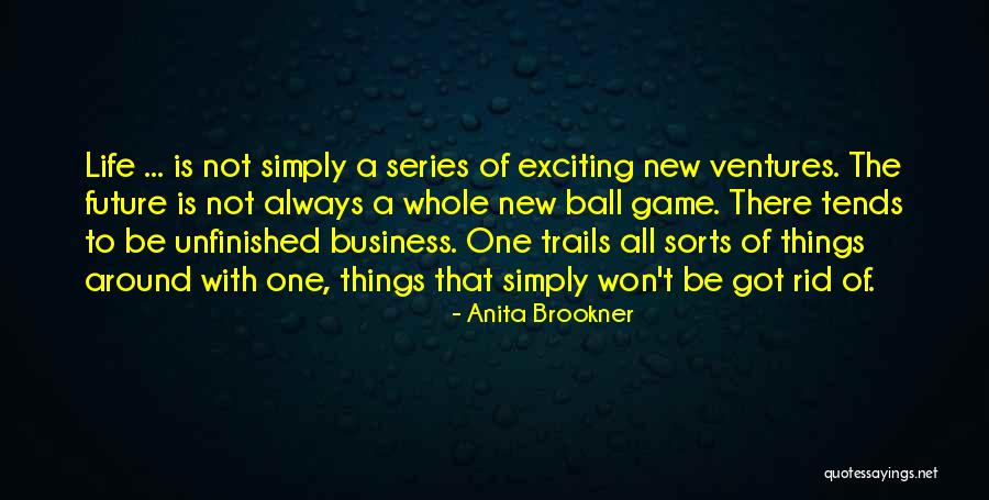 Martellini Juice Quotes By Anita Brookner Martellini Juice Quotes By Anita Brookner