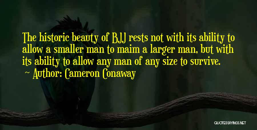 Martial Arts Quotes By Cameron Conaway