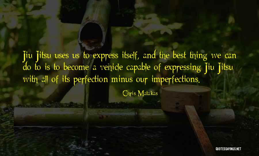 Martial Arts Quotes By Chris Matakas