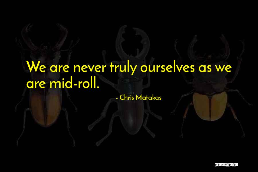 Martial Arts Quotes By Chris Matakas