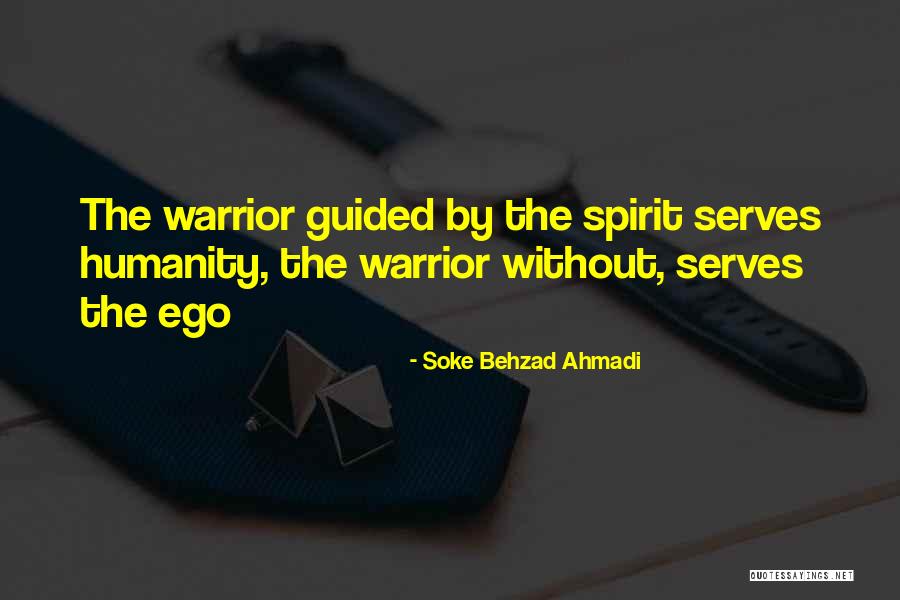 Martial Arts Quotes By Soke Behzad Ahmadi