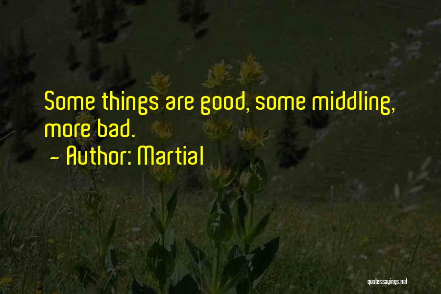Martial Quotes 1727845