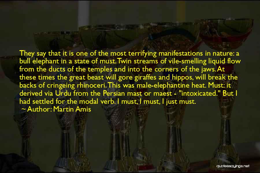 Martin Amis Quotes 868216