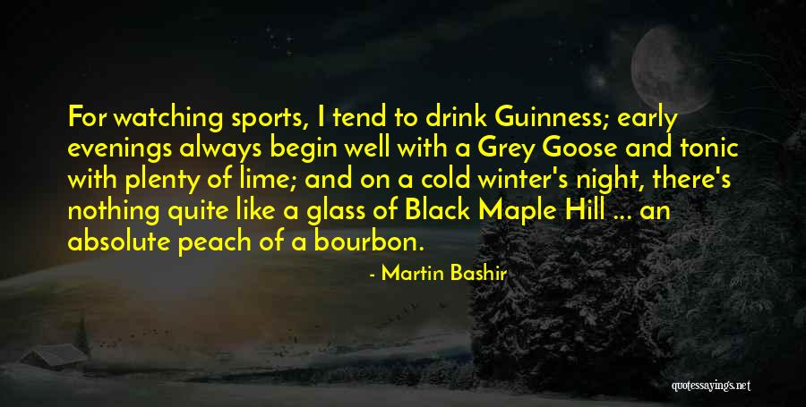 Martin Bashir Quotes 320608