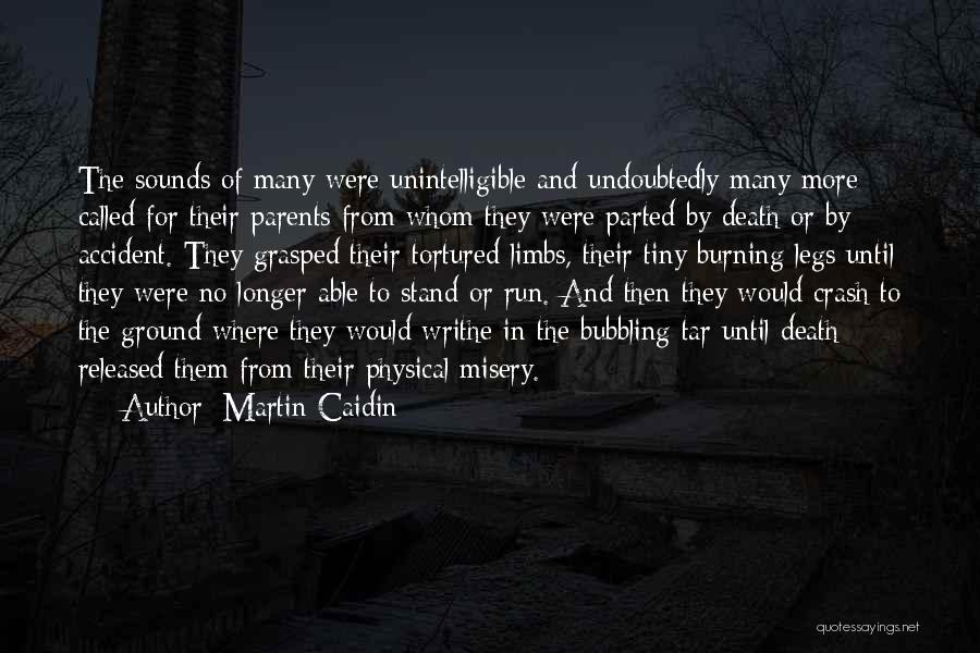 Martin Caidin Quotes 1969615