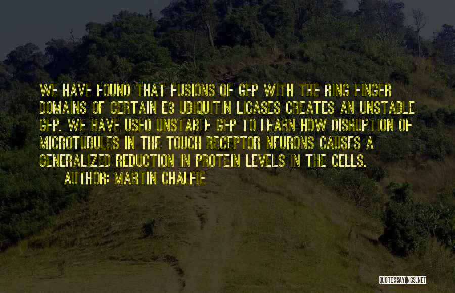 Martin Chalfie Quotes 1504235