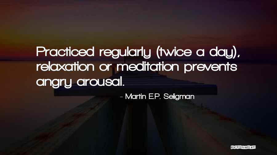 Martin E.P. Seligman Quotes 120941