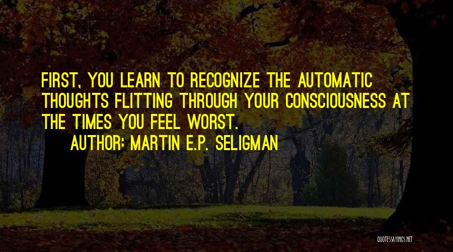 Martin E.P. Seligman Quotes 732028