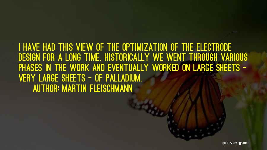 Martin Fleischmann Quotes 318384