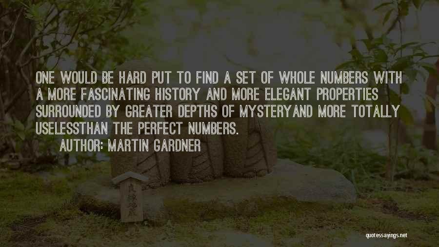 Martin Gardner Quotes 162976