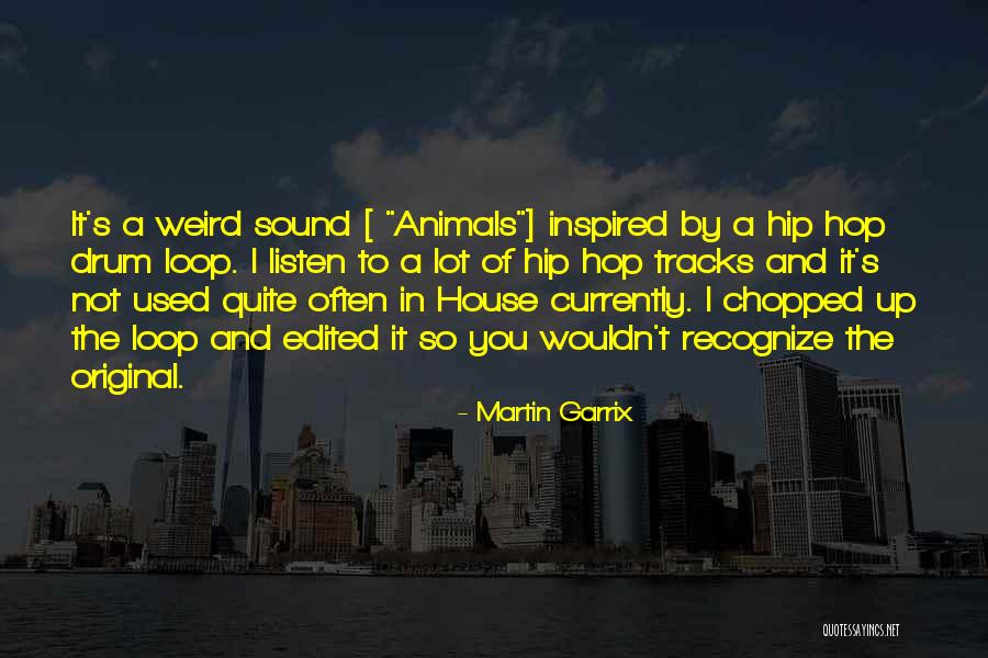 Martin Garrix Quotes 818704