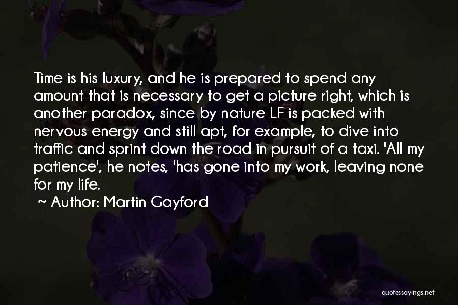 Martin Gayford Quotes 2201659