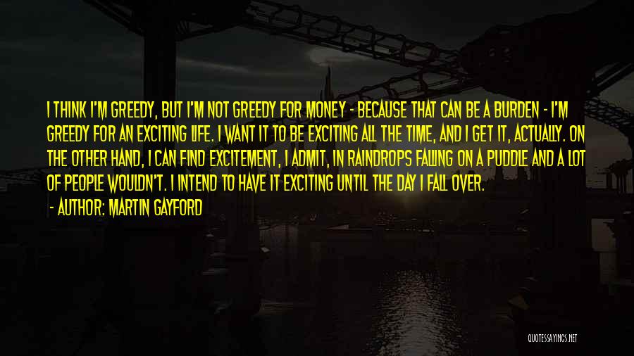 Martin Gayford Quotes 904032