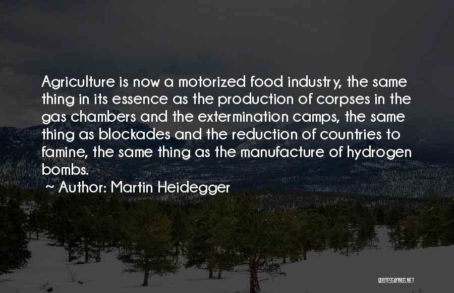 Martin Heidegger Quotes 854628