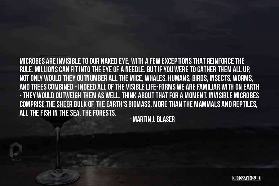 Martin J. Blaser Quotes 529685