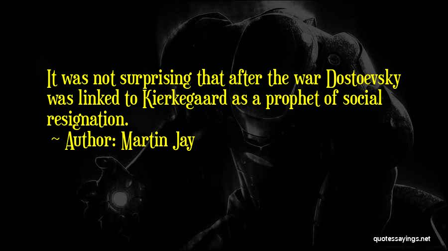 Martin Jay Quotes 1384364