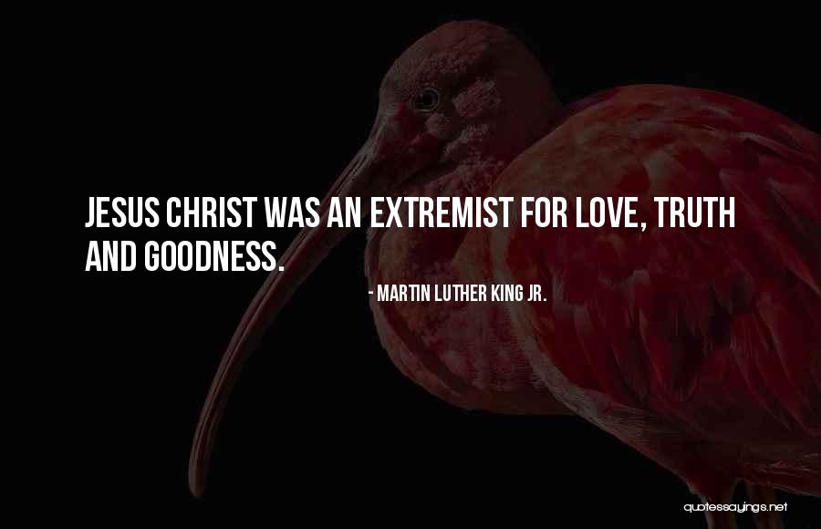 Martin Luther King Jr. Quotes 801830 Martin Luther King Jr. Quotes 801830