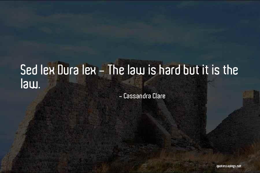 Martin Luther King Jr Racial Profiling Quotes By Cassandra Clare Martin Luther King Jr Racial Profiling Quotes By Cassandra Clare