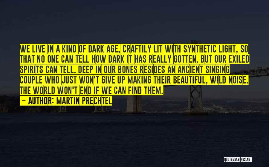 Martin Prechtel Quotes 1299712