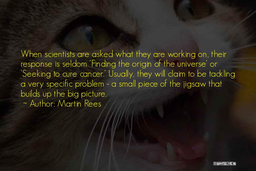 Martin Rees Quotes 1268600