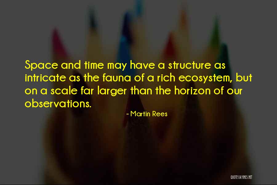 Martin Rees Quotes 1351986