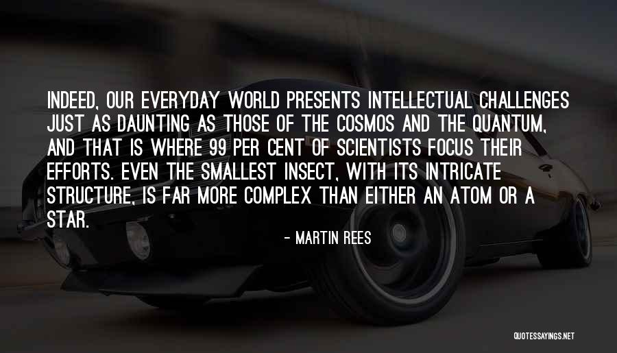 Martin Rees Quotes 1839441