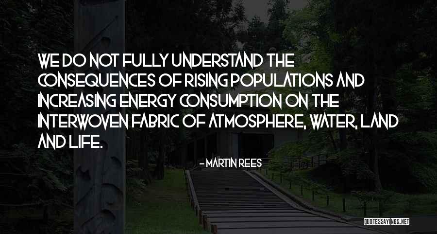 Martin Rees Quotes 2243023