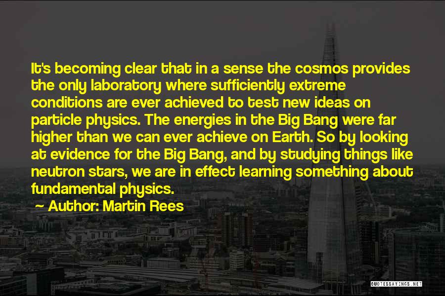 Martin Rees Quotes 772316