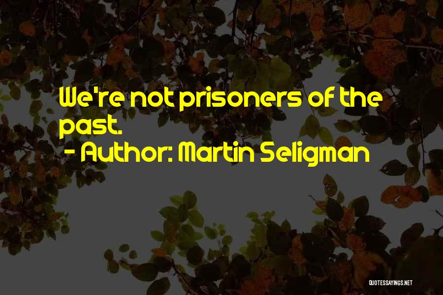 Martin Seligman Quotes 1011134