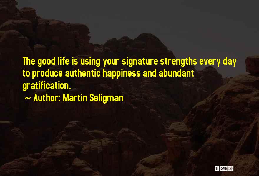 Martin Seligman Quotes 1075238
