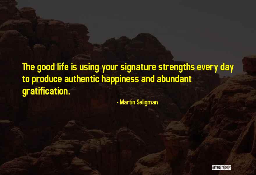 Martin Seligman Quotes 1075238