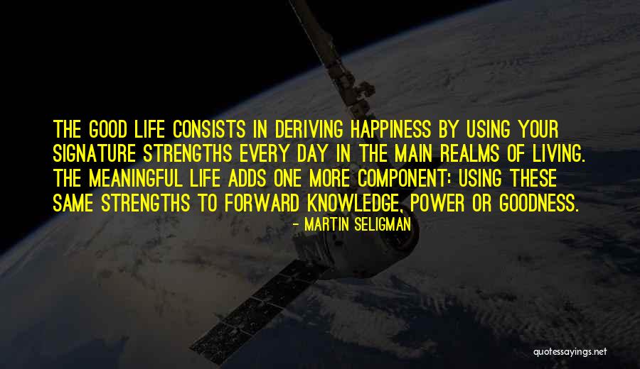 Martin Seligman Quotes 1183472